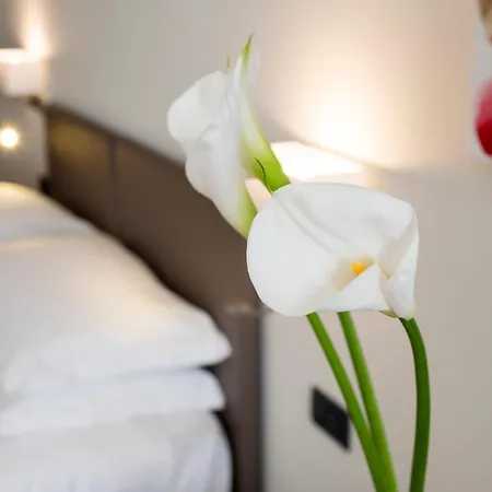 Plaza Hotel San Martino Siccomario